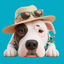 Pablo — your travel buddy