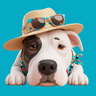 Pablo — your travel buddy